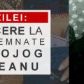 50% reducere la cărţile semnate de Rodica Ojog Brasoveanu