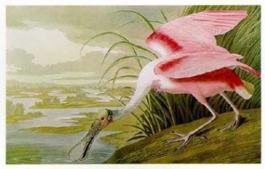 John James Audubon