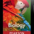Elevii vor putea învăţa de pe e-book-uri