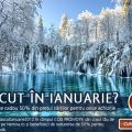 50% reducere pentru cei născuți în Ianuarie