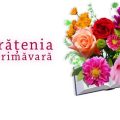 Reduceri de până la 50% pentru pachete!