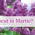 50% reducere pentru cei născuți în martie!
