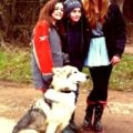 Ascultă-i pe copiii familiei Stark fredonând genericul serialului Urzeala Tronurilor
