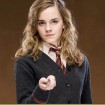 hermione harry potter