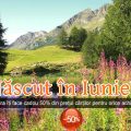 Nemira face cadou celor născuți în luna iunie 50% din prețul cărților