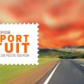 Cititorii Nemira sunt răsplătiţi cu transport gratuit