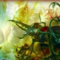 Regii nisipurilor – George R.R. Martin
