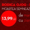 Dacă e marţi, e Rodica Ojog-Braşoveanu