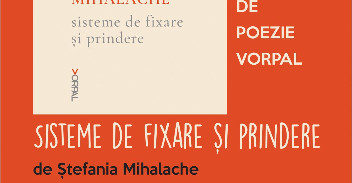 Ștefania Mihalache: Sisteme de fixare și de prindere, la Timișoara