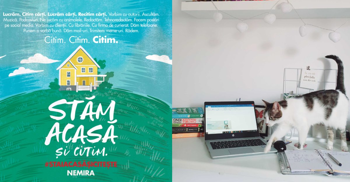Work from home – tips & tricks de la echipa Nemira
